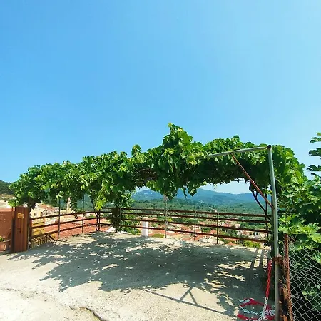 Chrysanthos * Agios Matthaios (Corfu)